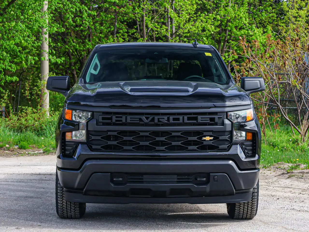 Chevrolet Silverado 1500 снимка Chevrolet Silverado 1500