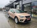 SEAT Arona 1.0 TSI DSG Xcellence - Navi - Allwettereifen Beige - thumbnail 1