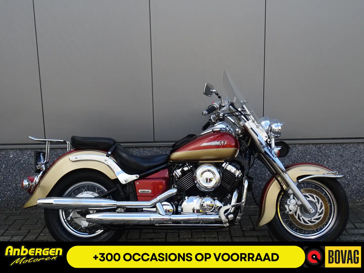 Yamaha XVS 650 DRAGSTAR CLASSIC Goud - 1
