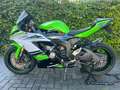Kawasaki Ninja ZX-6R Kawasaki ZX-6R 30th Anniversary Edition - thumbnail 5