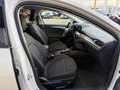 Ford Focus 150PS Automatik Klimaautom. Winter Paket Blanc - thumbnail 7