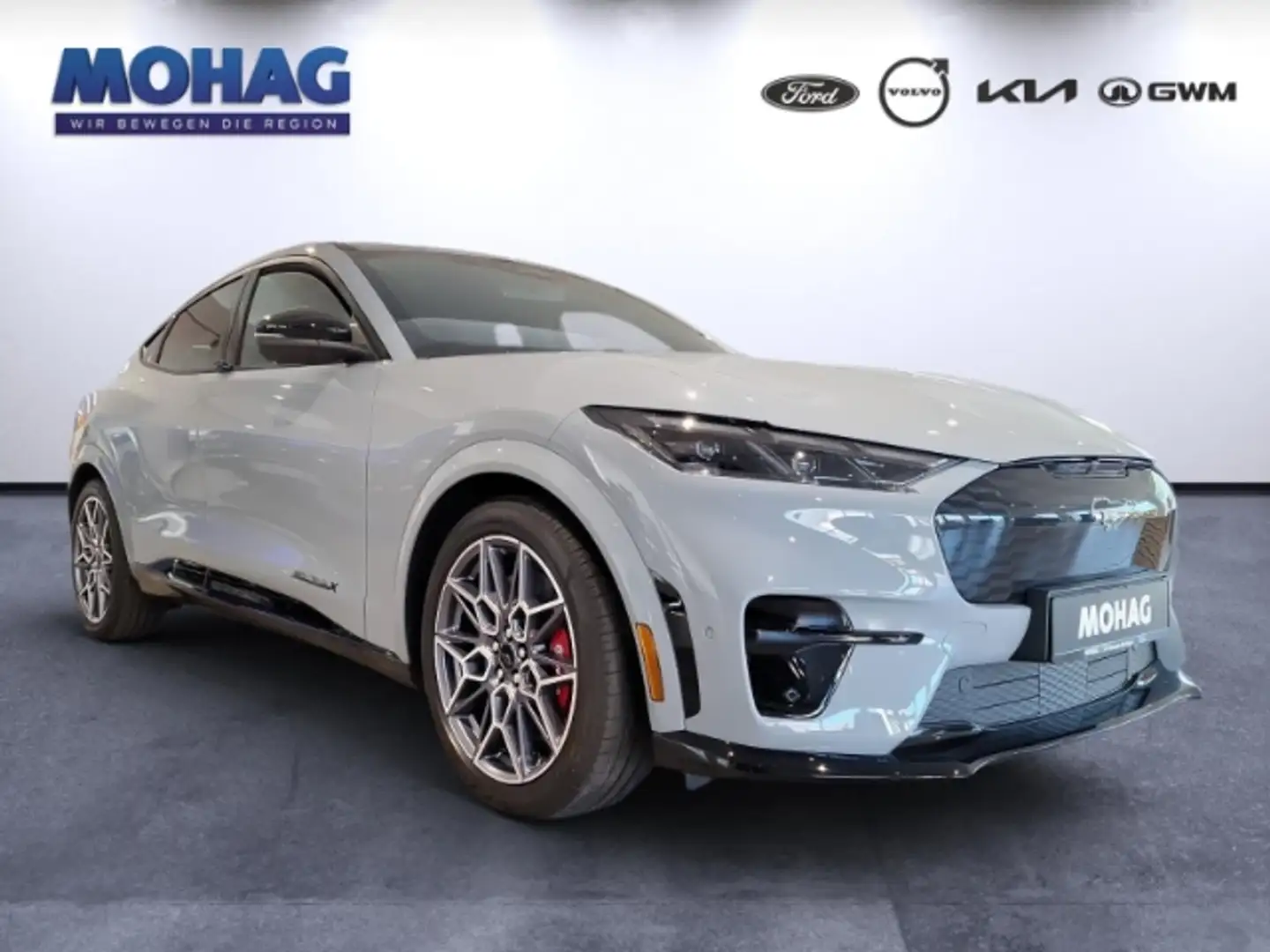 Ford Mustang Mach-E GT 91kwH AWD *LEDMatrix-Brembo*    -Euro6- Сірий - 2