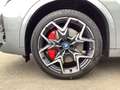 BMW X2 xDrive30 JUBILÄUMSANGEBOT Sportpaket HUD AD AHK-kl Grijs - thumbnail 7