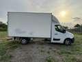 Renault Master Fahrgestell Kofferaufbau L4H1 3,5t+ dCi 130 EURO V - thumbnail 3
