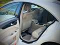 Mercedes-Benz CLS 350 CDI 265CV Amg - Kit Premium 2015 - TRATT. Bianco - thumbnail 11