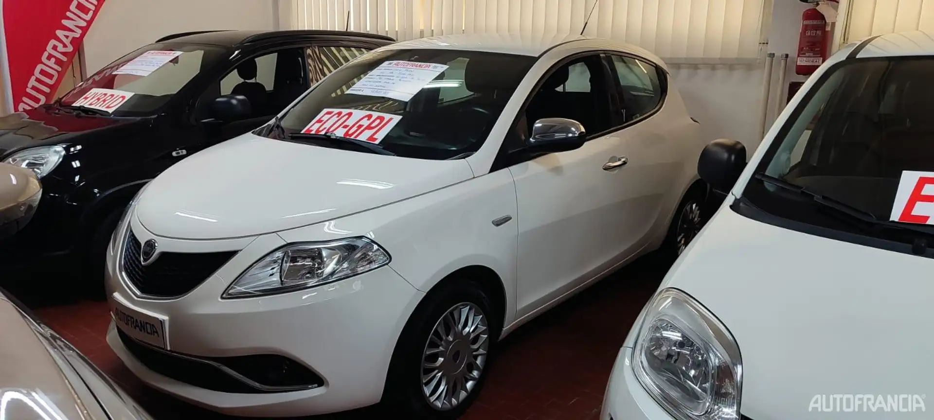 Lancia Ypsilon YPSILON - 1.2 SILVER GPL Bianco - 1