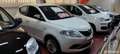 Lancia Ypsilon YPSILON - 1.2 SILVER GPL Bianco - thumbnail 2