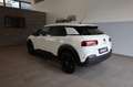 Citroen C4 Cactus 1.5 Blue-HDi 120 Shine RFK Weiß - thumbnail 3