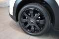 Citroen C4 Cactus 1.5 Blue-HDi 120 Shine RFK Weiß - thumbnail 18