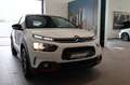 Citroen C4 Cactus 1.5 Blue-HDi 120 Shine RFK Weiß - thumbnail 19