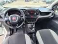 Fiat Doblo 1.3 MJT 90cv Bianco - thumbnail 10