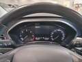 Ford Focus Focus Active Active 1.5 ecoblue 120cv s&s Bronzo - thumbnail 11