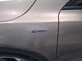 Ford Focus Focus Active Active 1.5 ecoblue 120cv s&s Bronzo - thumbnail 22