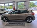 Ford Focus Focus Active Active 1.5 ecoblue 120cv s&s Bronzo - thumbnail 7