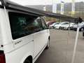 Volkswagen T6 California Ocean Edition DSG ACC AHK LED Sthz Weiß - thumbnail 12