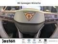 CUPRA Leon Sportstourer 1.5 eTSI NAVI Vision Plus SHZ Negro - thumbnail 22