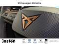 CUPRA Leon Sportstourer 1.5 eTSI NAVI Vision Plus SHZ Negro - thumbnail 23