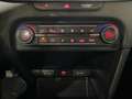 Kia XCeed 1.0 T-GDi Drive Rojo - thumbnail 15