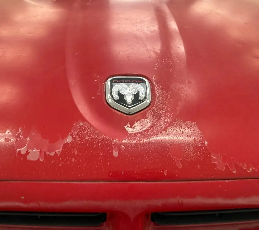 Dodge Dakota RT Short Bed Pickup, foto 10