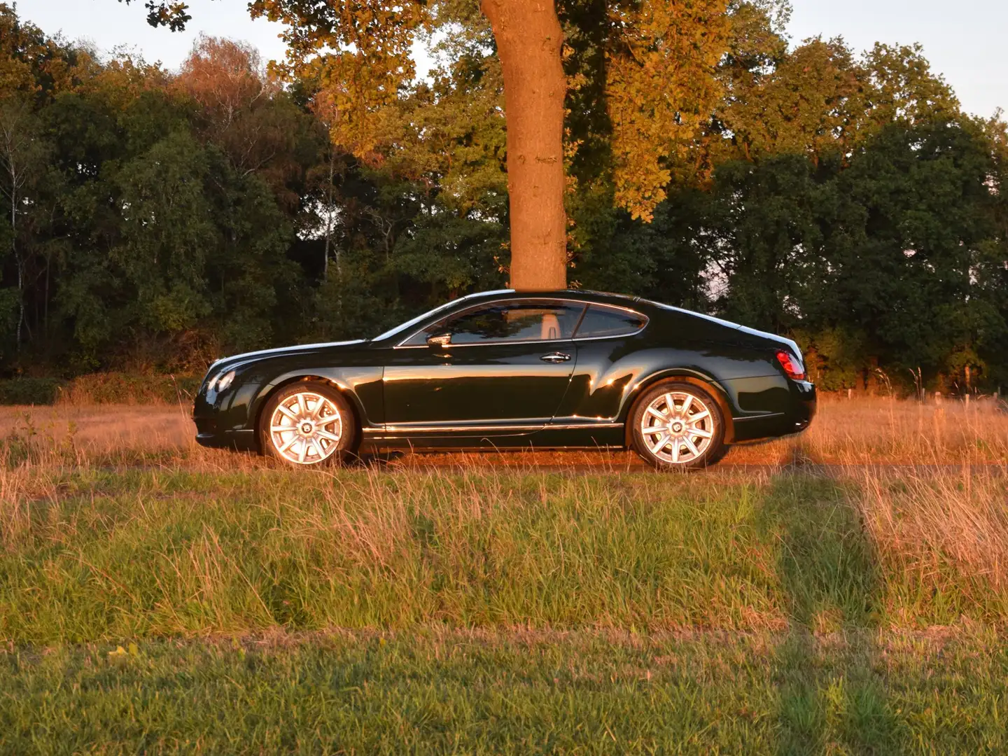 Bentley Continental GT 6.0 W12 Vert - 1