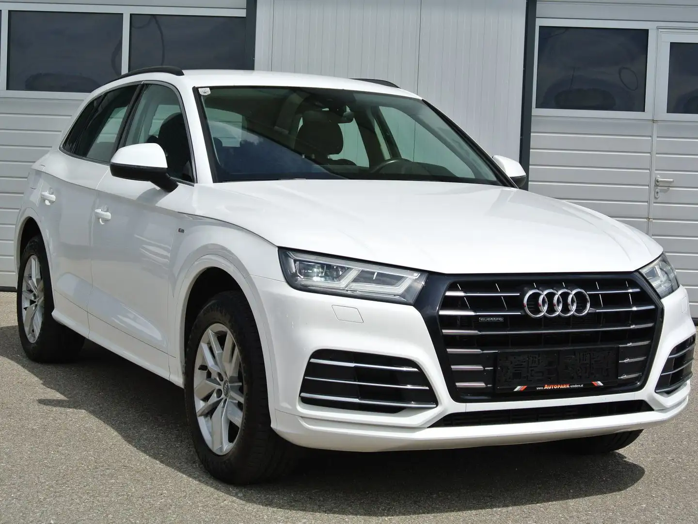 Audi Q5 55 TFSI etron quattro Sport S-tronic **  S-LINE** Weiß - 1