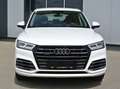 Audi Q5 55 TFSI etron quattro Sport S-tronic **  S-LINE** Weiß - thumbnail 3