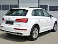 Audi Q5 55 TFSI etron quattro Sport S-tronic **  S-LINE** Weiß - thumbnail 5