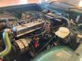 Triumph TR6 P 1 ASI !! CRS !! Overdrive !! PERFETTA !! Grün - thumbnail 31