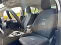 Ford Focus 1.5 EcoBlue 115 CV automatico ACTIVE Grigio - thumbnail 12