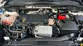 Ford Kuga 2.0 EcoBlue MEHV ST-Line X FWD 150 Blanco - thumbnail 12