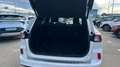 Ford Kuga 2.0 EcoBlue MEHV ST-Line X FWD 150 Blanco - thumbnail 17