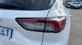 Ford Kuga 2.0 EcoBlue MEHV ST-Line X FWD 150 Blanco - thumbnail 15