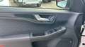 Ford Kuga 2.0 EcoBlue MEHV ST-Line X FWD 150 Blanco - thumbnail 19