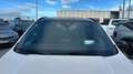 Ford Kuga 2.0 EcoBlue MEHV ST-Line X FWD 150 Blanco - thumbnail 25