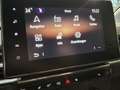 Renault Kangoo PKW TECHNO BLUE dCi 115 EDC Grau - thumbnail 43