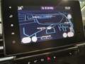 Renault Kangoo PKW TECHNO BLUE dCi 115 EDC Grau - thumbnail 42