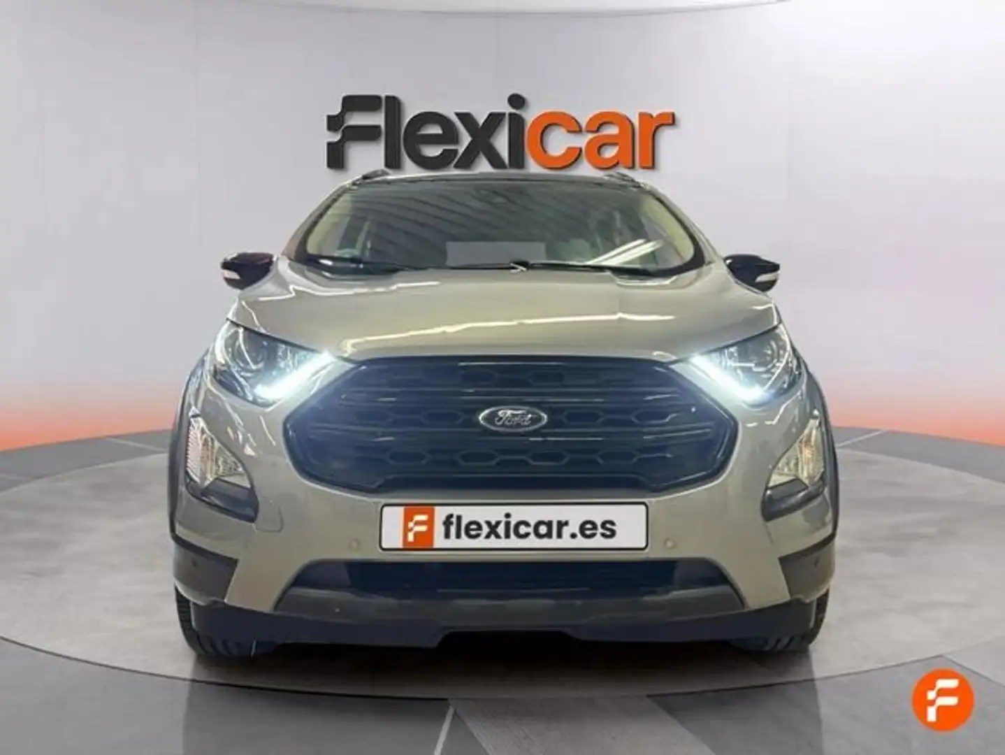 Ford EcoSport 1.0 EcoBoost ST Line 125 Gris - 2