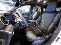 Mercedes-Benz GLC 300 d 269cv 4MATIC aut. PREMIUM PLUS AMG TETTO Wit - thumbnail 8