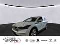 Skoda Enyaq iV 80 Loft AHK,Pano,Navi,Cam,WÄPU,LED,H Weiß - thumbnail 1