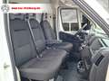 Fiat Ducato Maxi Grossr.-Kasten 35 180 L5H3/LED/BT Weiß - thumbnail 11