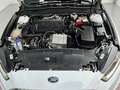 Ford Mondeo 2.0TDCI Trend Aut. 150 Blanco - thumbnail 17