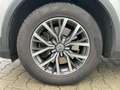 Volkswagen Tiguan 2.0 TSI BMT Comfortline 4Motion 1.Hd,AHK Argent - thumbnail 39