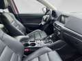 Mazda CX-5 CD175/AWD/AT/REVOLUTION TOP Rot - thumbnail 21