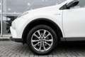 Toyota RAV 4 2.5 Hybrid AWD Dynamic Standkachel Bianco - thumbnail 22