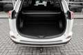 Toyota RAV 4 2.5 Hybrid AWD Dynamic Standkachel Bianco - thumbnail 16