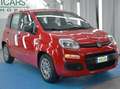 Fiat Panda Panda 1.0 firefly hybrid *NO VINCOLI FINANZIARI* Rouge - thumbnail 3