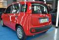 Fiat Panda Panda 1.0 firefly hybrid *NO VINCOLI FINANZIARI* Rouge - thumbnail 5