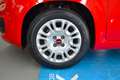 Fiat Panda Panda 1.0 firefly hybrid *NO VINCOLI FINANZIARI* Rouge - thumbnail 12