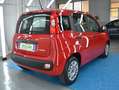 Fiat Panda Panda 1.0 firefly hybrid *NO VINCOLI FINANZIARI* Rouge - thumbnail 4