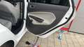 Ford Fiesta 1.0 Start-Stop Champions Edition Weiß - thumbnail 4